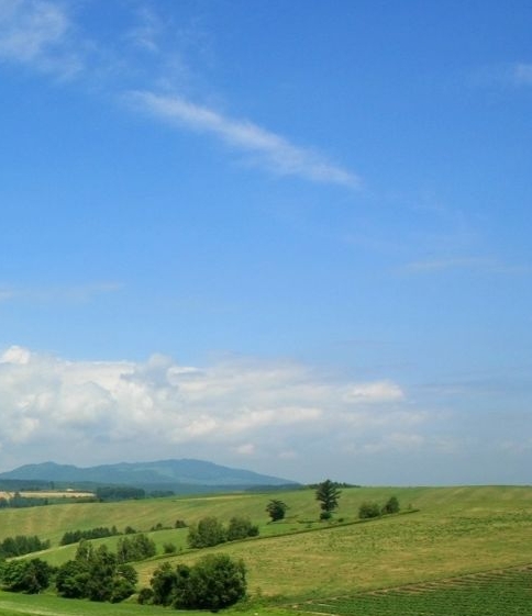 闪云购佣金是真的吗