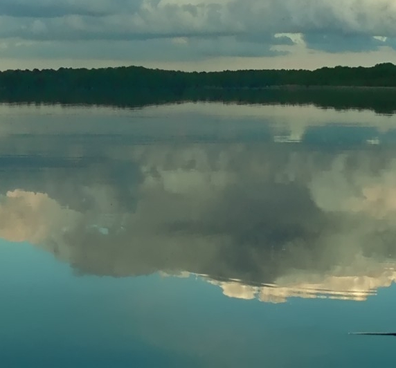 粉象生活有几代佣金