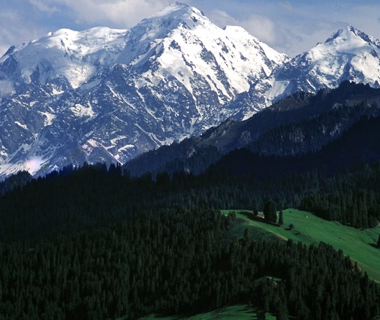 粉象生活下级购物我有佣金吗