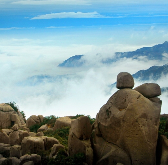 象印的杯子有涂层好吗