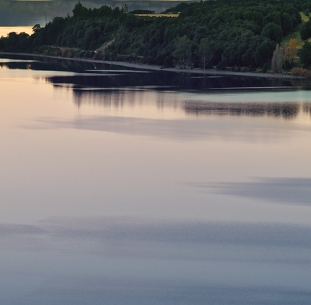 粉象生活的邀请码是什么