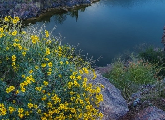 粉象生活的心态怎么写