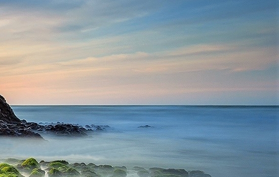 粉象是不是国家正式合法