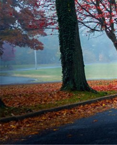 粉象生活怎么填写邀请码