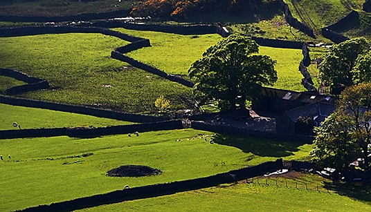 抖音怎么带货赚佣金