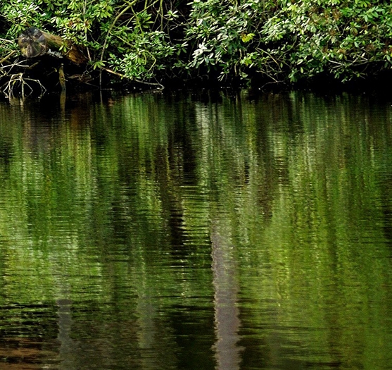 千酥喵联盟官网