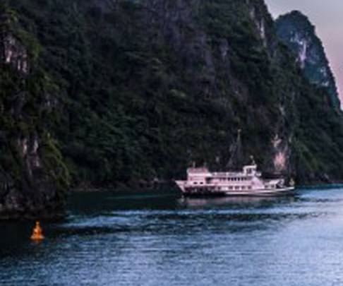 粉象生活有没有官网