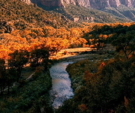 有赞微小店官网