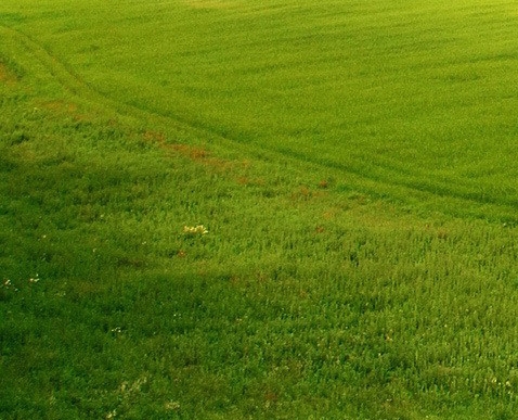 粉象怎么更改邀请人