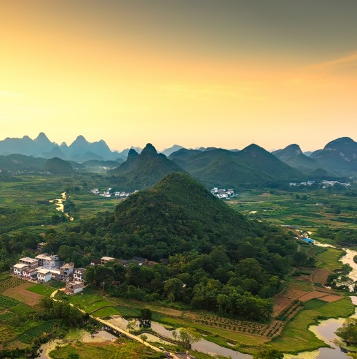 粉象生活公是什么