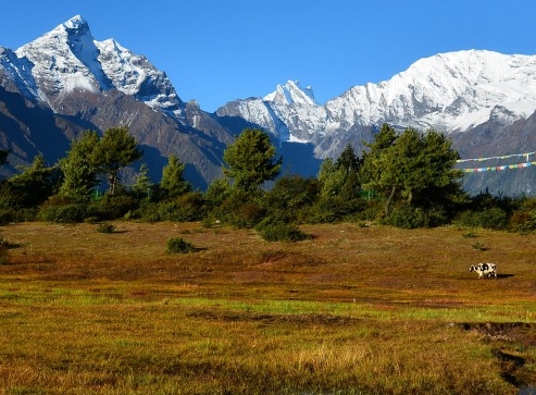 粉象生活骗局大揭秘