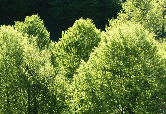 日本象印保温杯杯盖的使用
