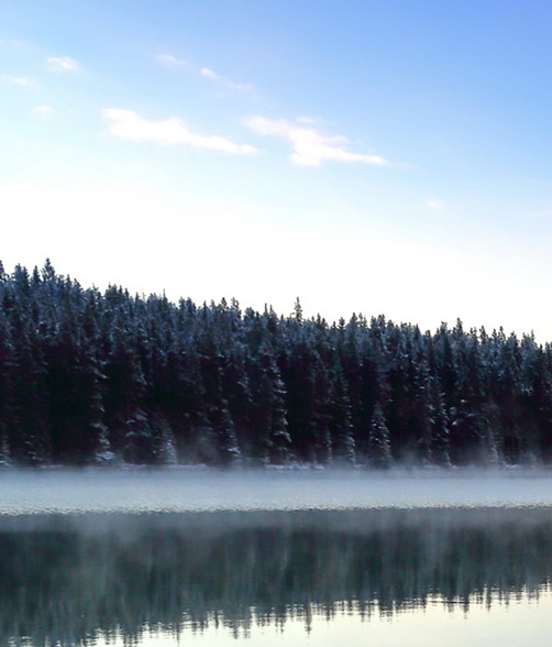 粉象生活怎么购买vip