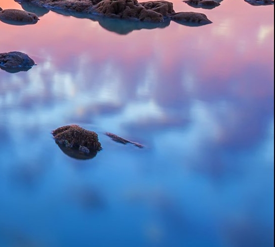 注册粉象提示被注册