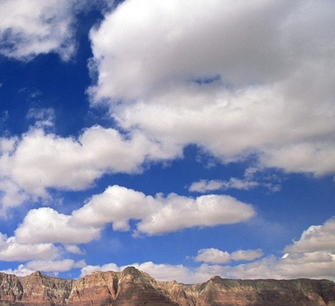 宽容心态的感悟怎么写