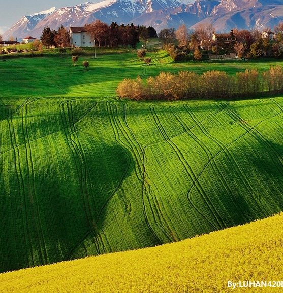 粉象生活vip怎么获得