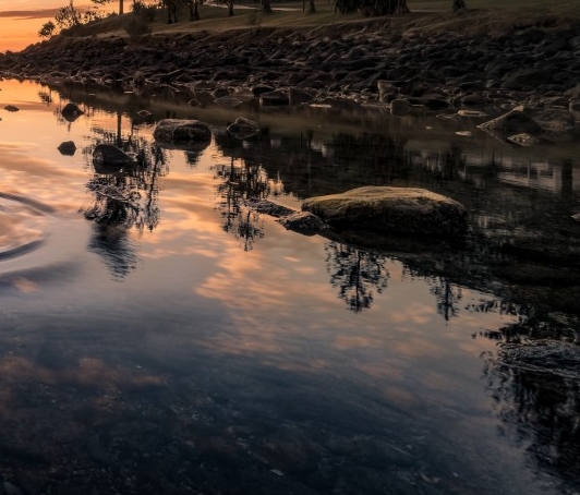 粉象生活封闭账号