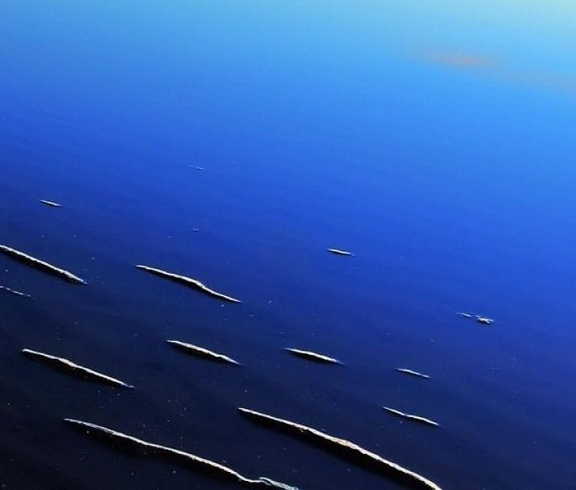 粉象生活邀请码可以改吗