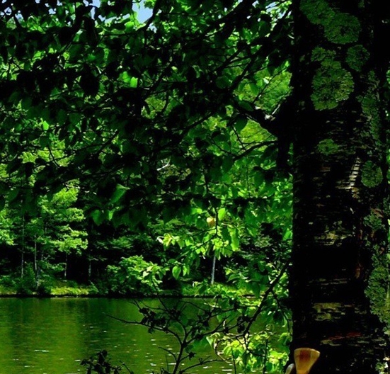 象印粉胖子杯盖软垫