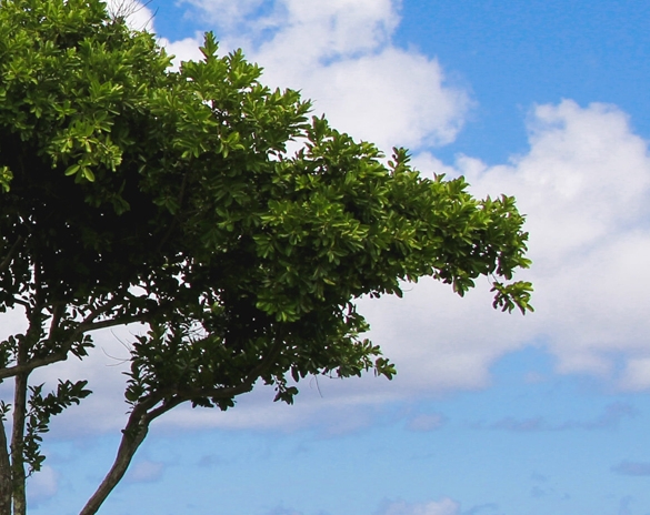 粉象平台总部薇fxsh33