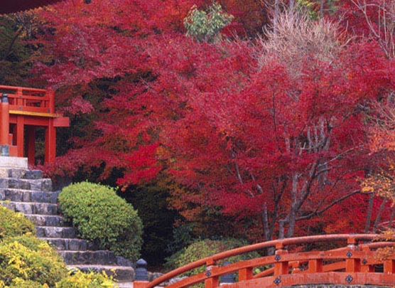 粉象拿下级提成