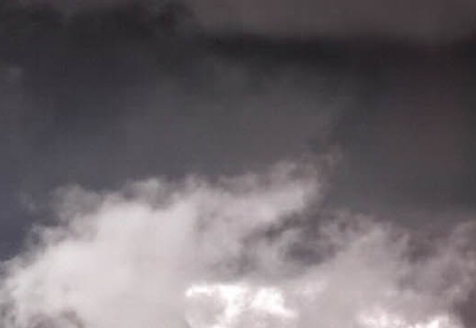 粉象生活邀请码在哪里填写