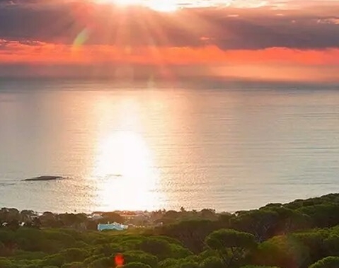 做任务赚佣金是骗局