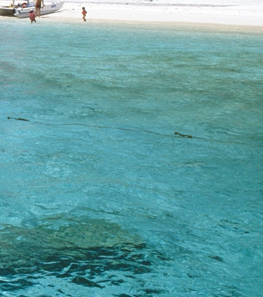 粉象生活和高佣联盟