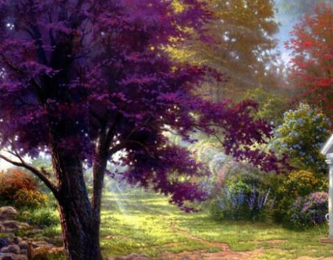 浅粉象啤酒是哪个品牌