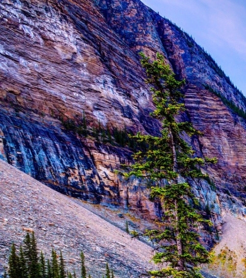 粉象如何赚佣金