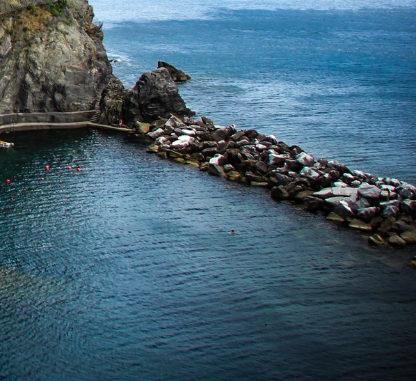 粉象生活预估优选佣金是什么