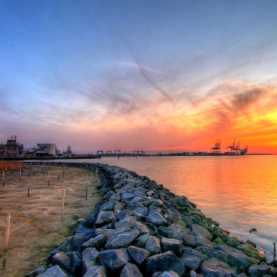 粉象真的可以挣钱么