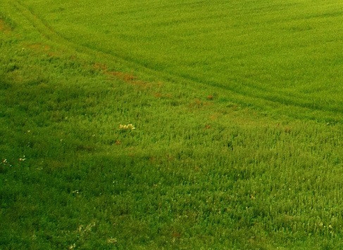 粉象升级vip后就能赚钱吗