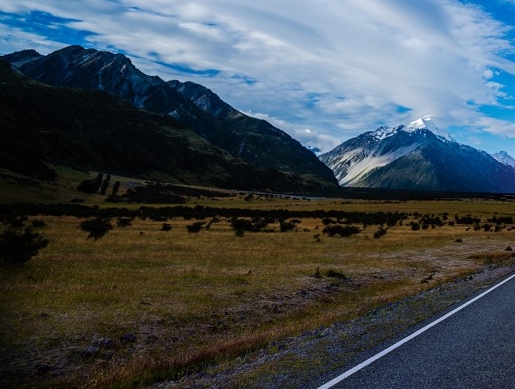 粉象生活 小助手