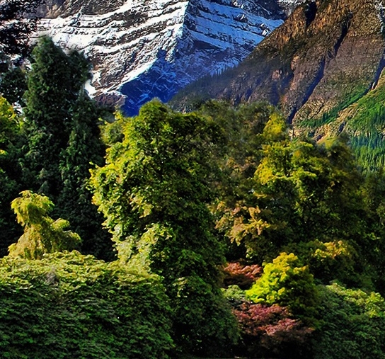 抢单佣金一天60单骗局