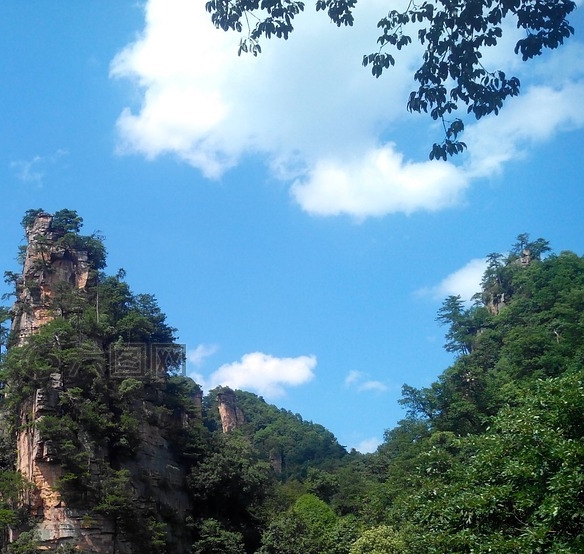 粉象生活是做什么的