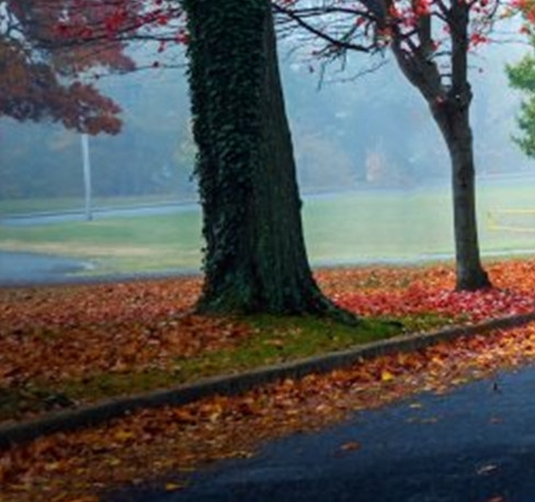 粉象生活在哪里添加粉丝