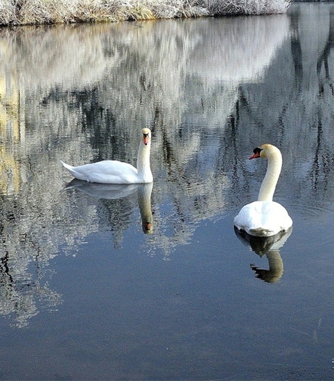 粉象生活合法吗