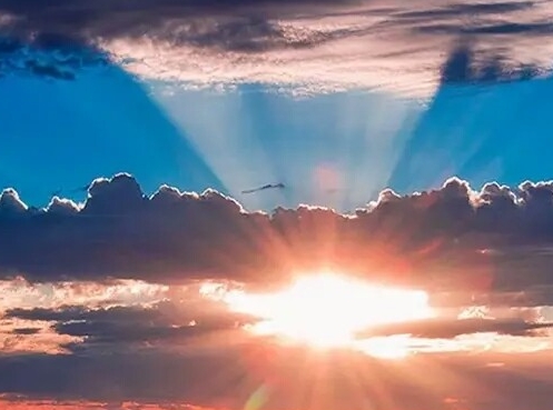 粉象生活和高佣联盟