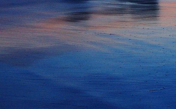 蜜源跟粉象相比