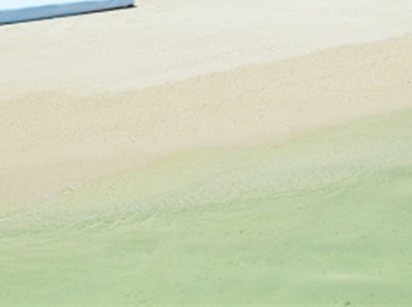 粉象生活卖的东西质量好不好