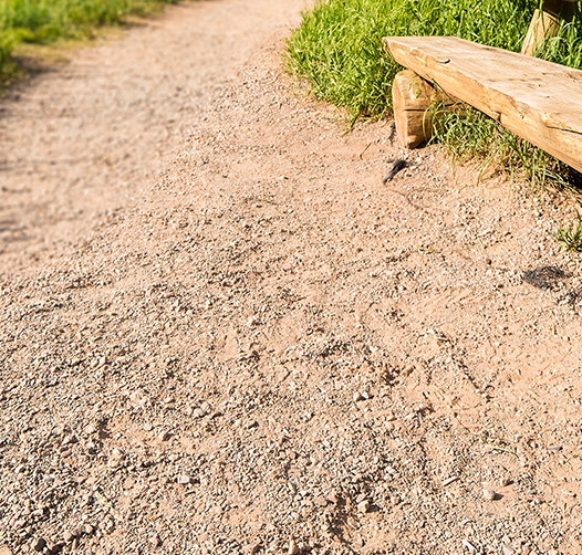 粉象返利的钱在哪里找