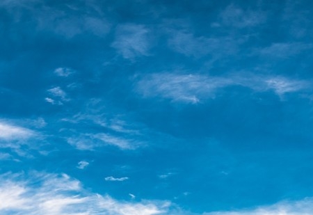 蜜源和粉象生活哪个佣金高