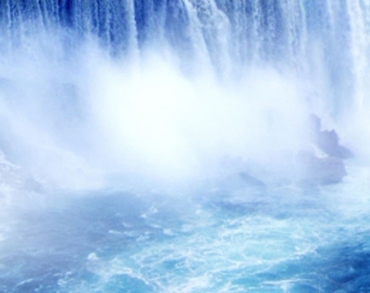 粉象生活创始人