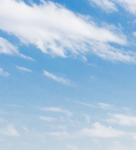 粉象生活如何获得佣金