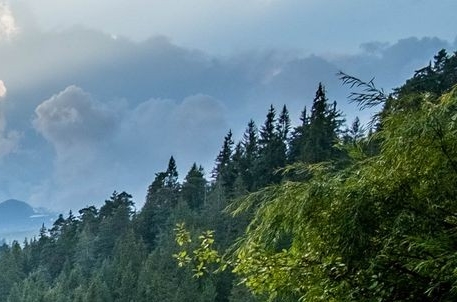 粉象粉丝返利规则