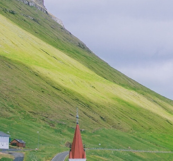 邀请的粉象专属粉丝购物