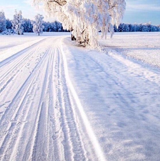 粉象生活是真的假的