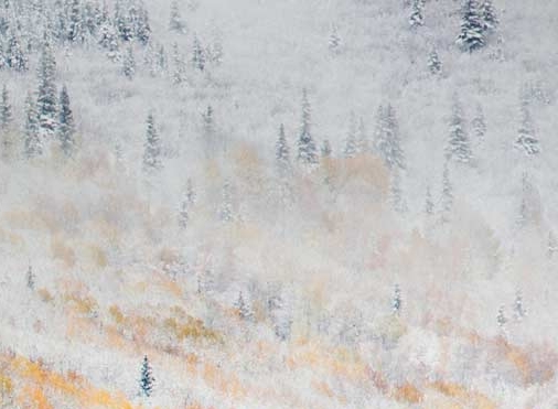 好省和粉象生活佣金对比