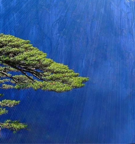 粉象生活是什么